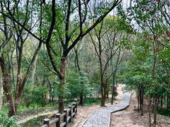 -上海佘山国家森林公园天马山园