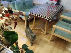 -Rabbit Cafe私房西餐甜点咖啡(栖霞路店)