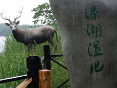 -溱湖国家湿地公园