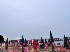 -碧海金沙