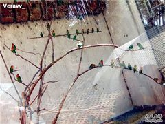 -昆明动物园