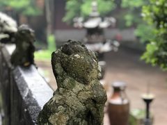 -普陀山风景名胜区-法雨禅寺