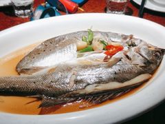 葱椒鲈鱼-绿茶餐厅(华联万柳店)