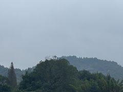 -白马涧龙池景区