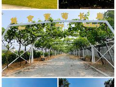 -张裕卡斯特酒庄