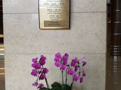 -北京饭店
