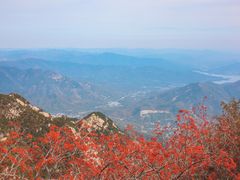 -泰山风景名胜区