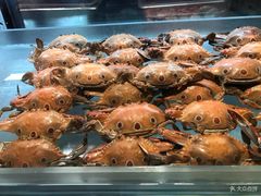 -康帝国际酒店-艾斯本自助西餐厅