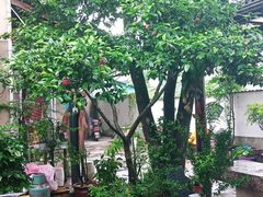 -李东农庄(中南百草园地标店)