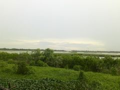 -大湾区中央湿地公园
