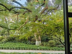 -浙江西子宾馆·瑶园咖啡厅