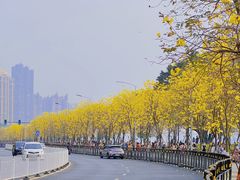 -洲头咀公园