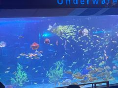 -泉城欧乐堡海洋极地世界