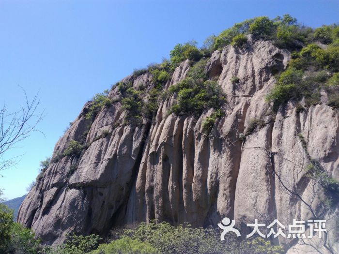 莲花山森林公园-图片-延庆区周边游-大众点评网