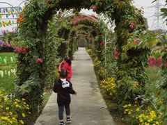 -紫颐香薰山谷景区