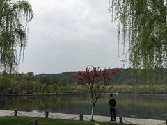 -苏堤停车场