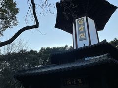 -上海佘山国家森林公园天马山园