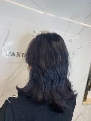 -潘多拉Hairsalon