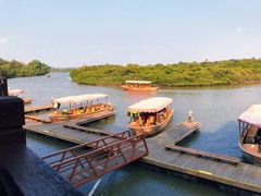 -东寨港红树林旅游区