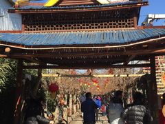 -呀路古热带植物园