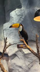 -Zoolung Zoolung动物主题公园(海信广场店)