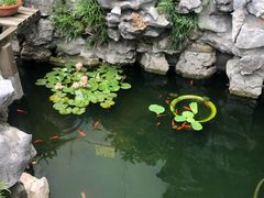 -美味之家·湖景农家乐(太湖东山店)