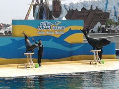 -秦皇岛乐岛海洋王国