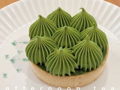 -猫里有甜