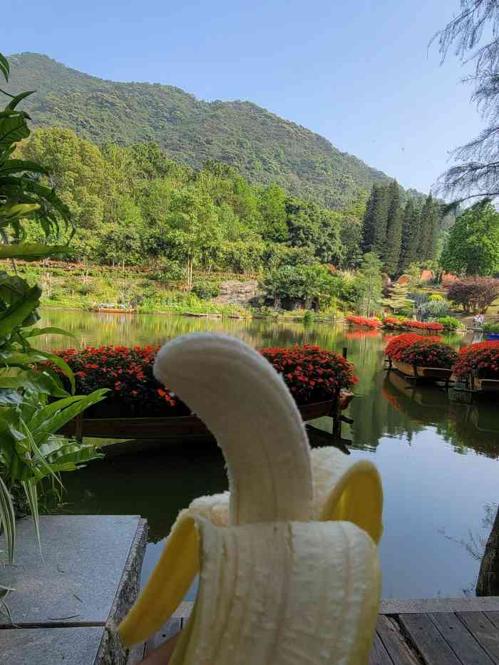 深圳市中科院仙湖植物園-