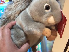 -雅米拉艺术中心(少儿舞蹈培训)