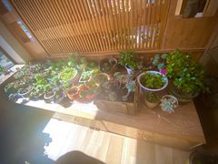 -四姑娘山阿巴郎·藏式花园餐厅