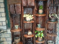 -慢丽江·云南野生菌土鸡锅(付家庄店)