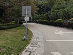 -田心森林公园