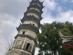 -苏州上方山国家森林公园