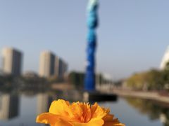 -海天湖公园