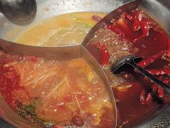 -辣伍鲜毛肚老火锅(元一店)