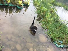 -成都大熊猫繁育研究基地-熊猫厨房