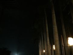 -三亚亚龙湾红树林度假酒店