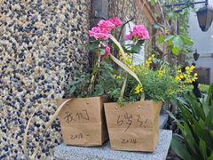 -思南书局(复兴中路店)