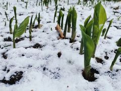 -长春世界雕塑园冰雪艺术天地