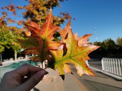 -北京西山国家森林公园