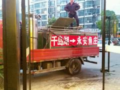 android_upload_pic-永安鱼庄·镇江菜(三店纬五路店)