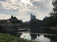-晓港公园