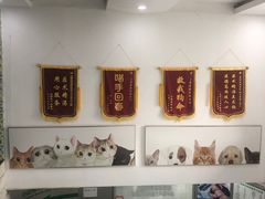 -爱侣宠医·鹦鹉专科·小型哺乳类·异宠专科(灵石路店)