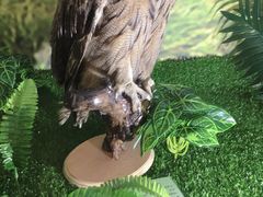 -下渚湖国家湿地公园科普馆