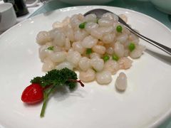 -新吉士·上海菜(浦东LCM置汇旭辉店)