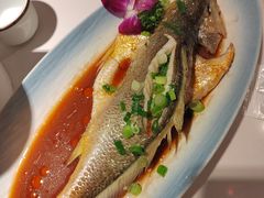 -33号大院·青岛本帮菜(五四广场店)