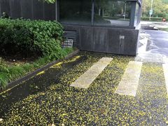 -杭州师范大学(下沙校区)