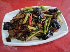 -照金特色农家乐