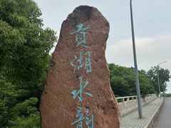 -贡湖湾湿地公园